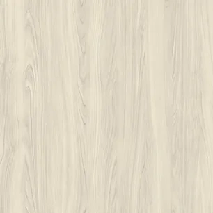8219 Ivory Birch